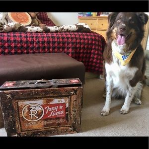 Women’s Tony Lama Boots 8B